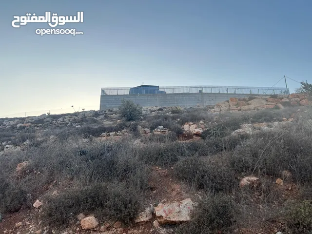 ارض للبيع بسعر مغري صالحه للزراعه والبناء ولكل شيء