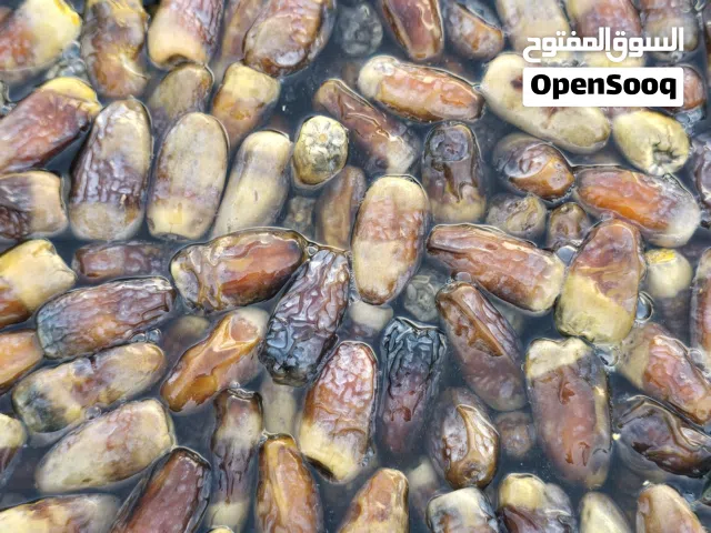 تمر نغال محقب للبيع الكيلو