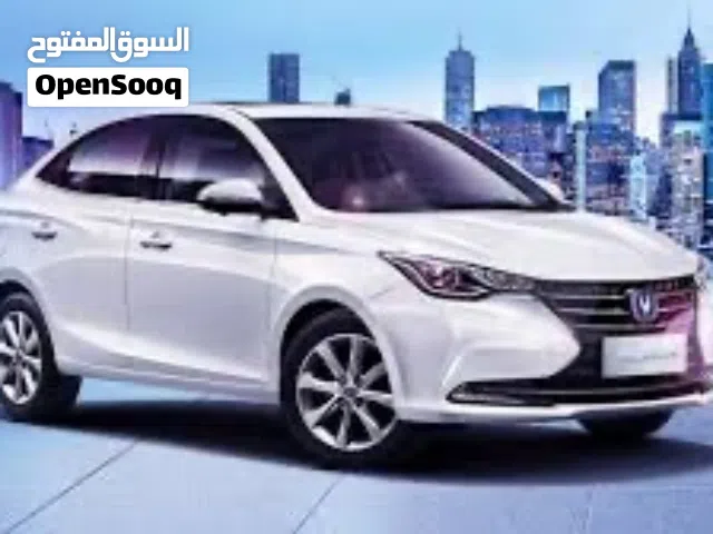 شانجان السفن للمراوس فقط