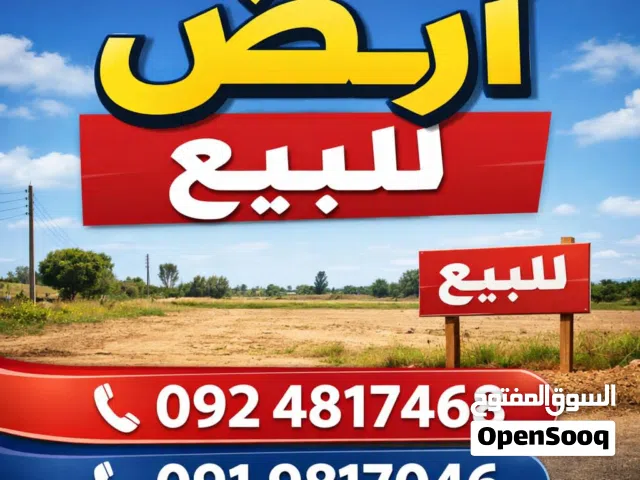 النواقيه عند بوابه الانتينة 7000م ع شارعين