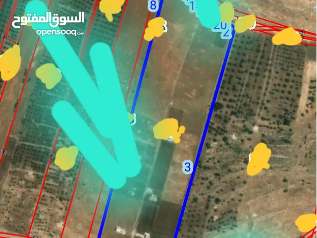 Farm Land for Sale in Irbid Kitim