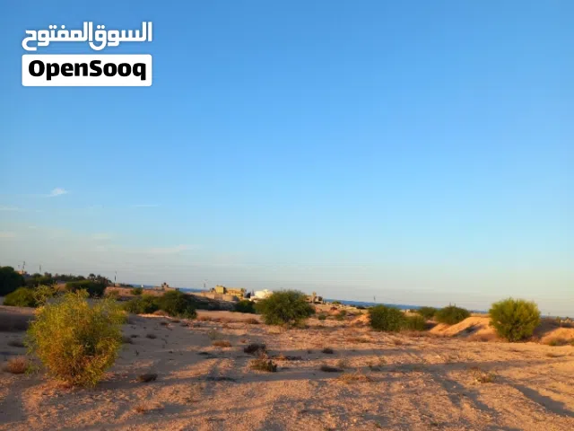 قطعة آرض ملك بلحجة منطقة زريق