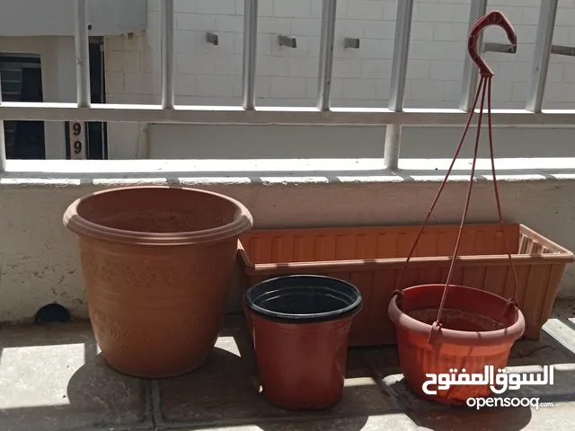 plant pots in 4BD for sale