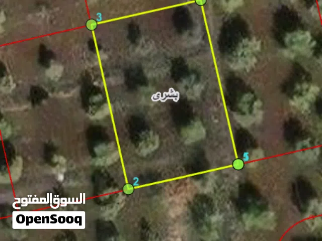 Residential Land for Sale in Irbid Bushra