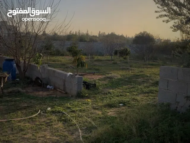 Studio Farms for Sale in Tripoli Tajura