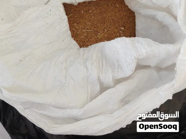 متوفر بذر قت عماني