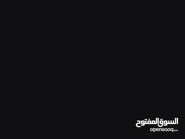 كيس ملاكمه