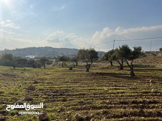 Mixed Use Land for Sale in Jerash Unaybah