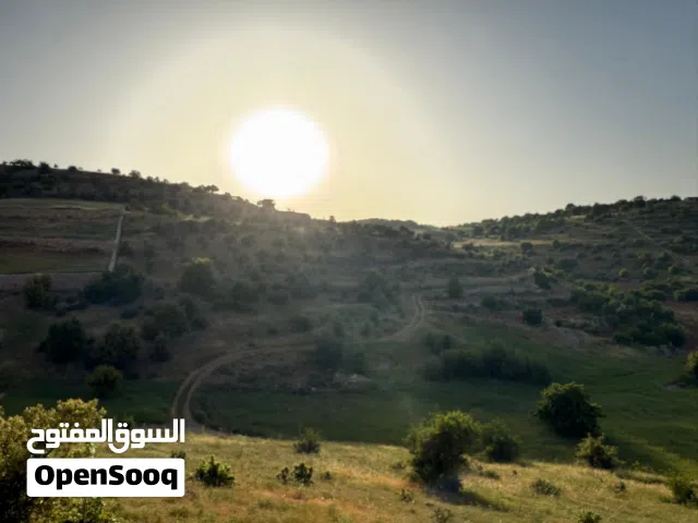 تملك اطلالة رائعة في جرش باستثمار جيد