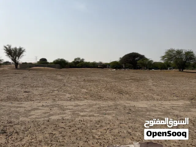 أراضي زراعية للإيجار – مساحات 10000 قدم مربع  وعدة مساحات شامل كهرباء وماء بموقع مميز سعر 1000 شامل