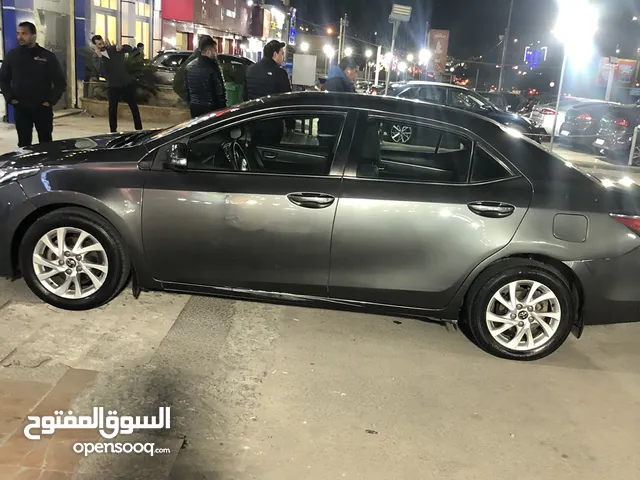 Used Toyota Corolla in Amman