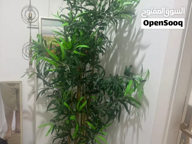 شجره خيزران بلاستيك للزينه