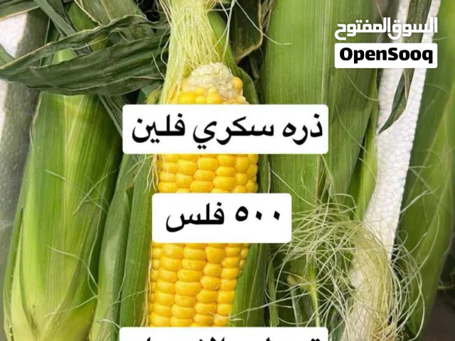لوجي للخضار والفواكه
