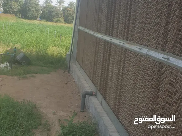 تبريد صحراوي(الوصف)