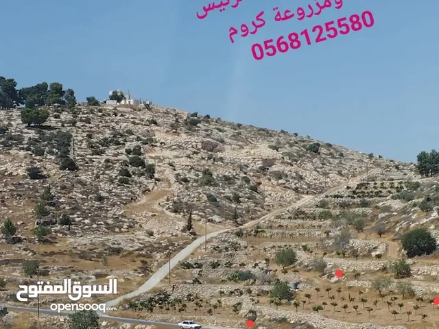 Mixed Use Land for Sale in Hebron Dura