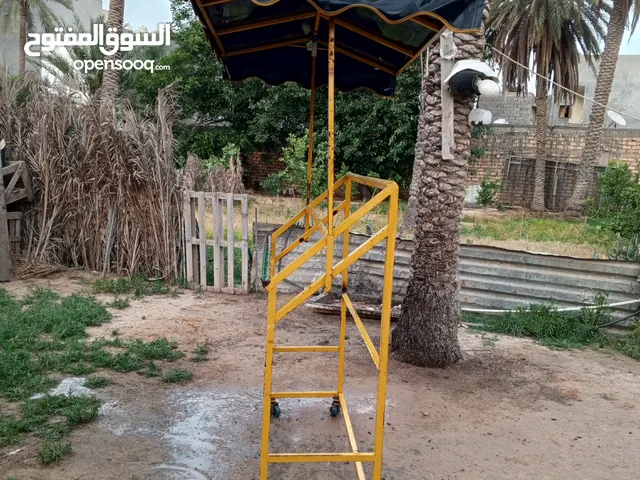 عرابة فواكة نضيفة