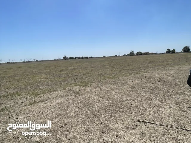 Farm Land for Sale in Baghdad Sabaa Al Bour