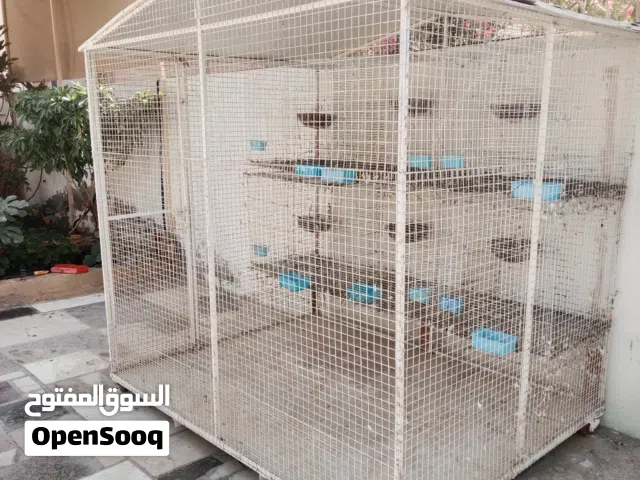 قفص متنقل وبداخلة 6 محاكر