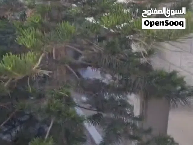 Mixed Use Land for Sale in Nablus Rafidia