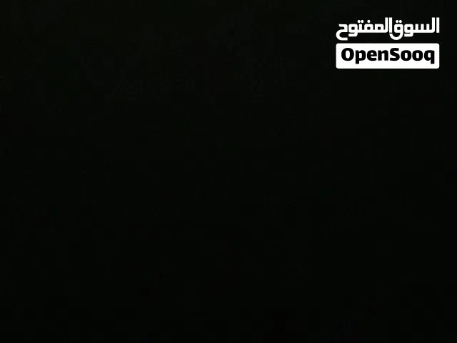 للبيع ببغاء درة الاخضر شبه اليف
