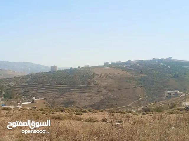 Residential Land for Sale in Nablus Asira Ash-Shamaliya