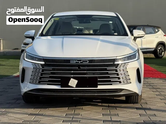 2025 بي واي دي ديستروير