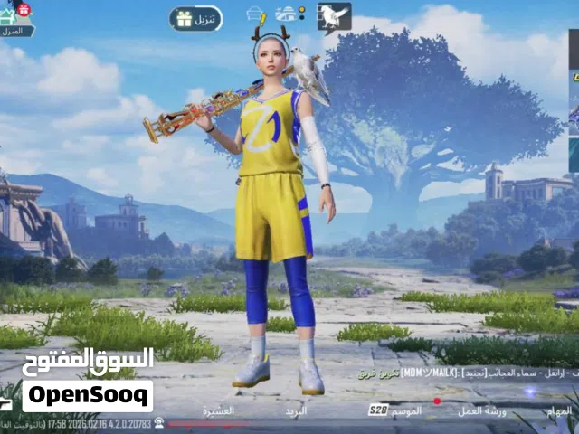 Pubg Accounts and Characters for Sale in Al Batinah