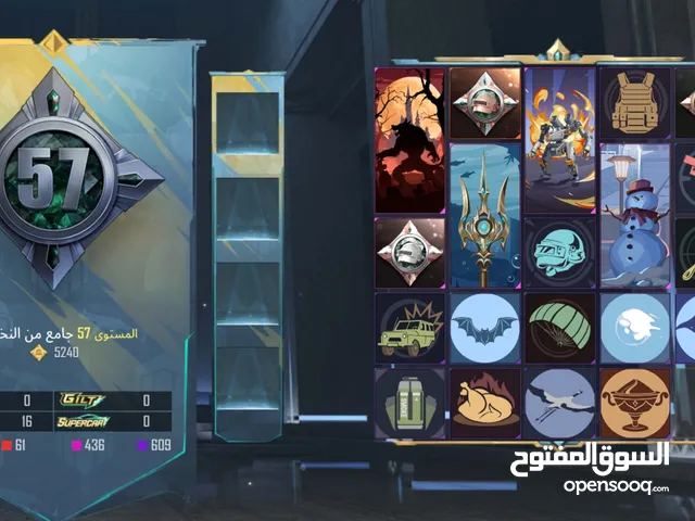 Pubg Accounts and Characters for Sale in Al Karak