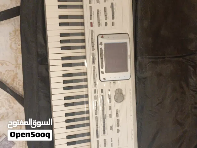 korg pa2x professional