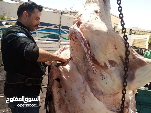 ابو حسين للاضاحي عجول وخرفان خبرة واحترافية: سنوات من العمل في مجال الذبح تضمن لكم خدمة ممتازة.