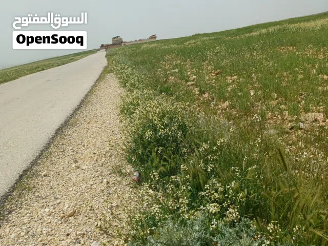 Farm Land for Sale in Mafraq Other