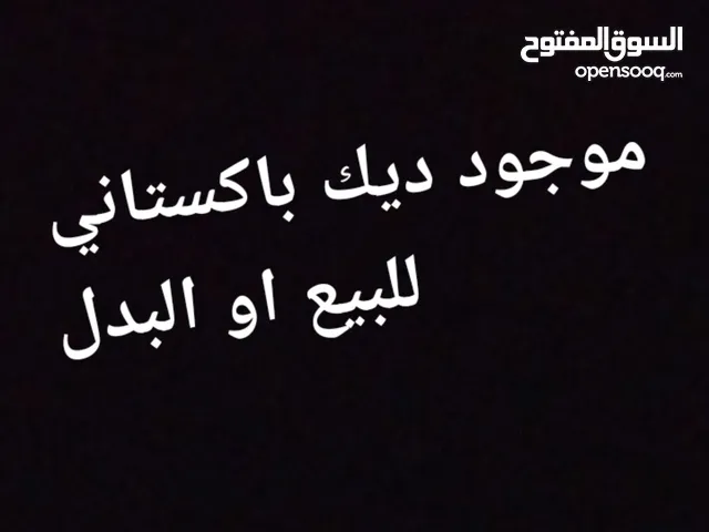 ديك باكستاني للبيع او البدل