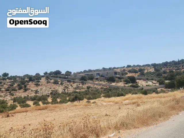 Residential Land for Sale in Amman Bilal