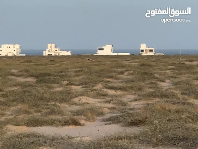 Residential Land for Sale in Al Sharqiya Ja'alan Bani Bu Ali