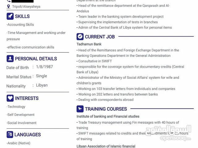 Libyan professional cv design with any language