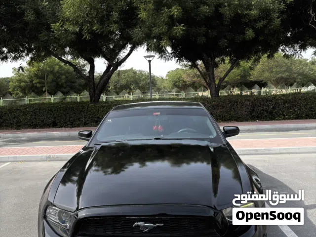 2014 Ford Mustang Standard