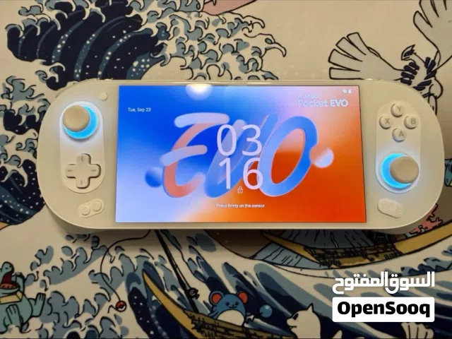 Ayaneo pocket evo