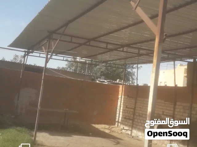 زيتقو مستعمل
