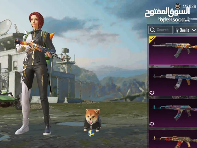 Pubg Accounts and Characters for Sale in Al Riyadh