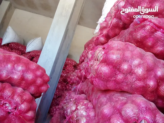 بصل احمر درجة اولي