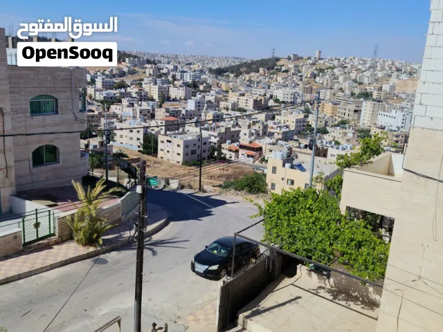 ترامبلين قطر4متر