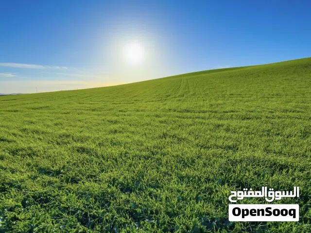 ارض مساحة 1000 متر مربع