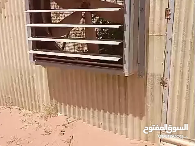 بيوت محمية مكيفة للبيع