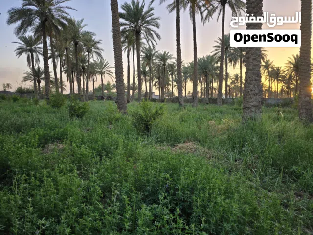 بستان للبيع