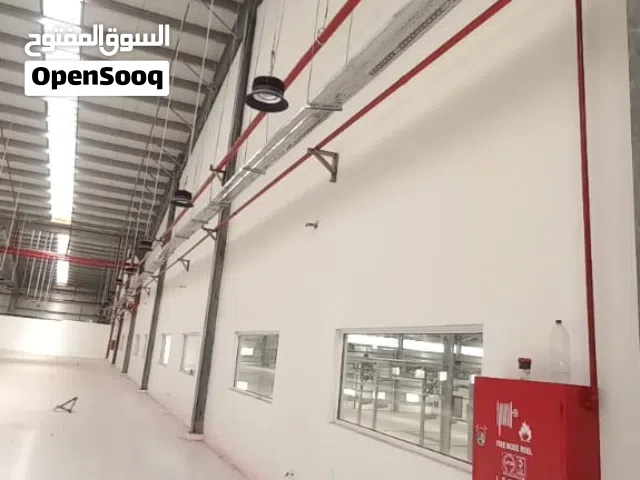 شركة نبض الأمان لأنظمة السلامة العامة والهندسة