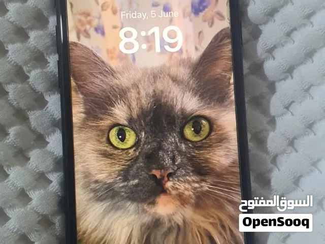 آيفون SE (2)مستعمل بحالة ممتازة بسعة 64 جيجابايت مع ملحقات