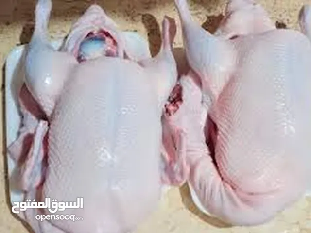 بط مصري نوع اول