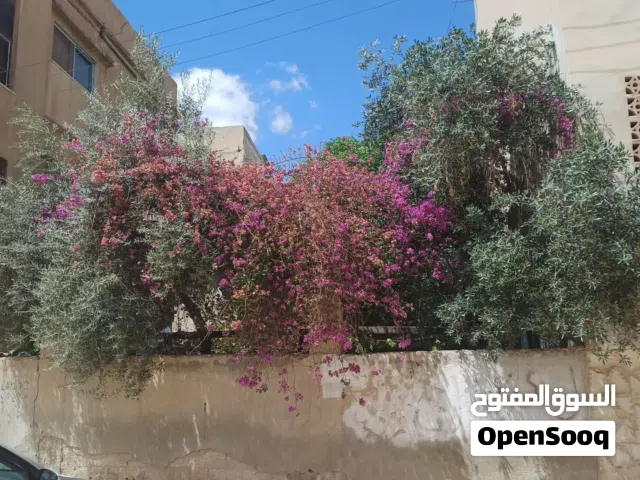 عمارة للبيع