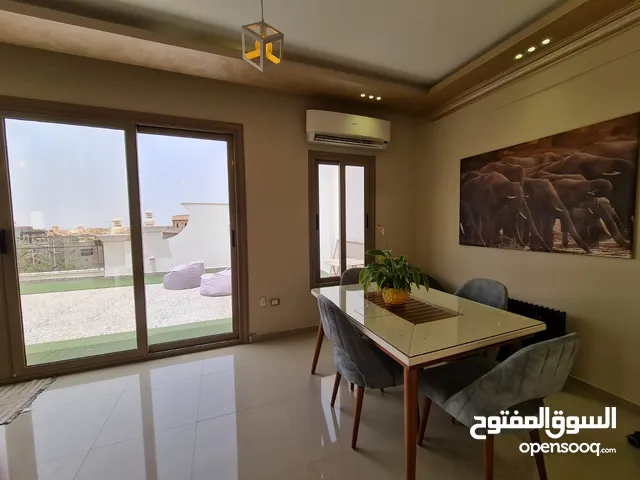 220m2 3 Bedrooms Apartments for Rent in Cairo Fifth Settlement