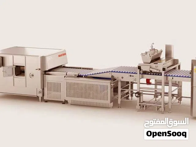 الرائد للاستشارات الصناعية